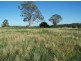 Lot 21 Tarwong Lane, Maryvale, Wellington NSW 2820