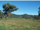 Lot 10 Arthur’s View, Wellington NSW 2820