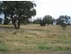 Lot 10 Arthur’s View, Wellington NSW 2820