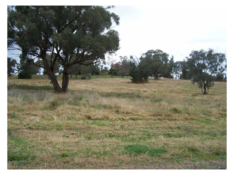 Lot 10 Arthur’s View, Wellington NSW 2820