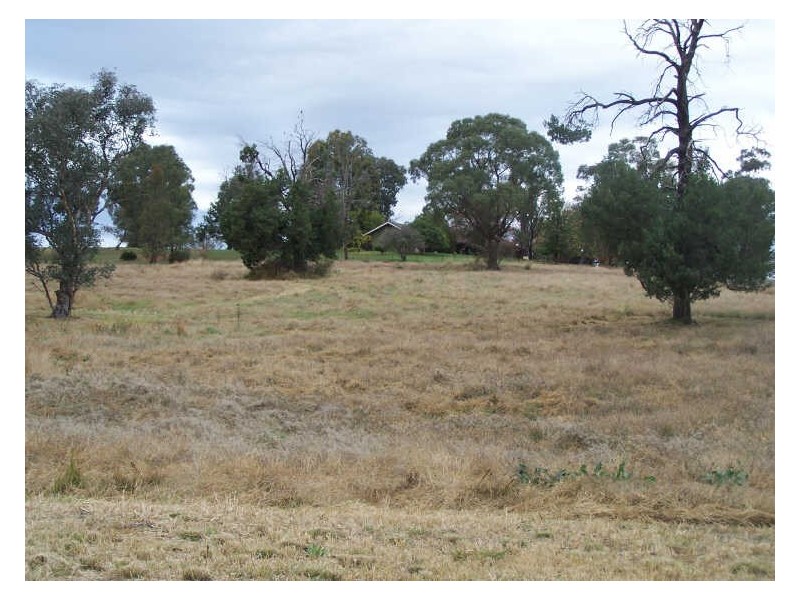 Lot 10 Arthur’s View, Wellington NSW 2820