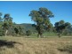 Lot 10 Arthur’s View, Wellington NSW 2820