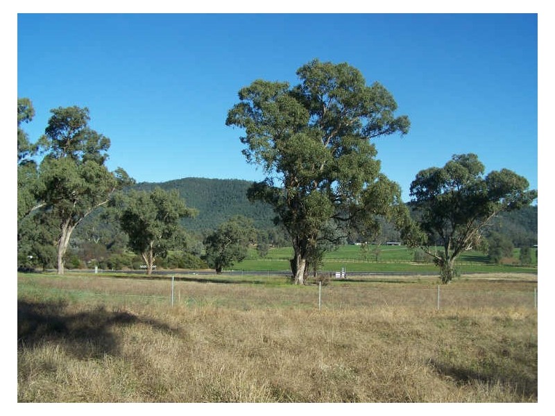 Lot 10 Arthur’s View, Wellington NSW 2820