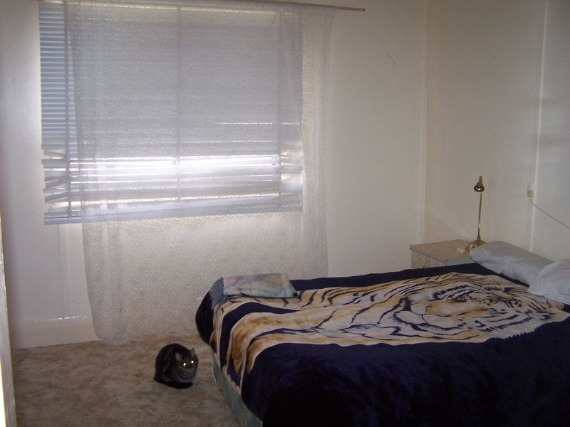 25 Clive Street, Wellington NSW 2820