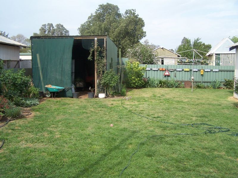 56 Thornton Street, Wellington NSW 2820