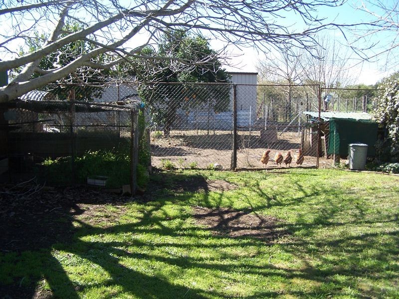 74 Montefiores street, Wellington NSW 2820