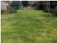 15 Percy Street, Wellington NSW 2820