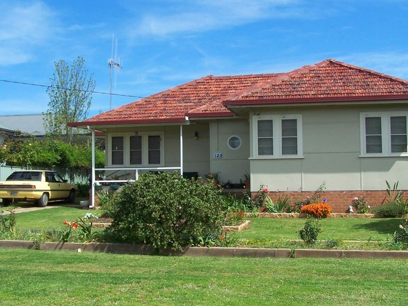 123 Warne Street, Wellington NSW 2820