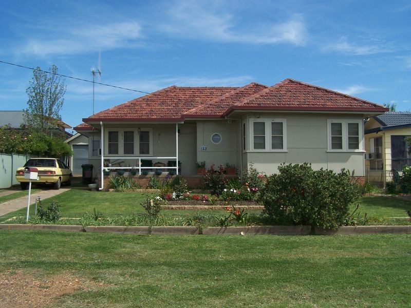 123 Warne Street, Wellington NSW 2820