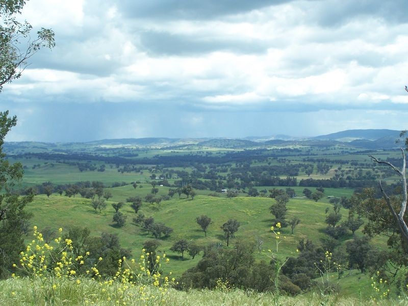 The Plateau, Dripstone Road, Wellington NSW 2820