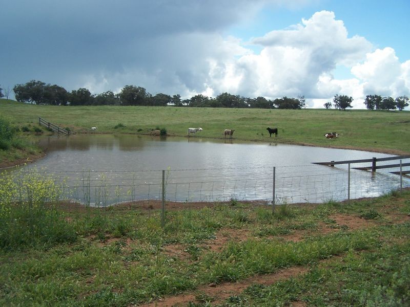 The Plateau, Dripstone Road, Wellington NSW 2820