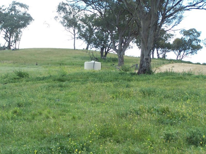 The Plateau, Dripstone Road, Wellington NSW 2820