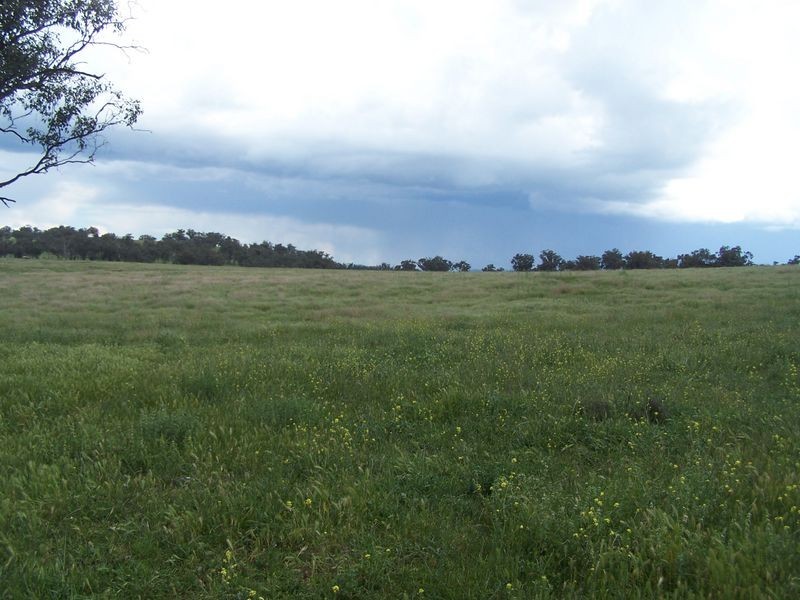 The Plateau, Dripstone Road, Wellington NSW 2820