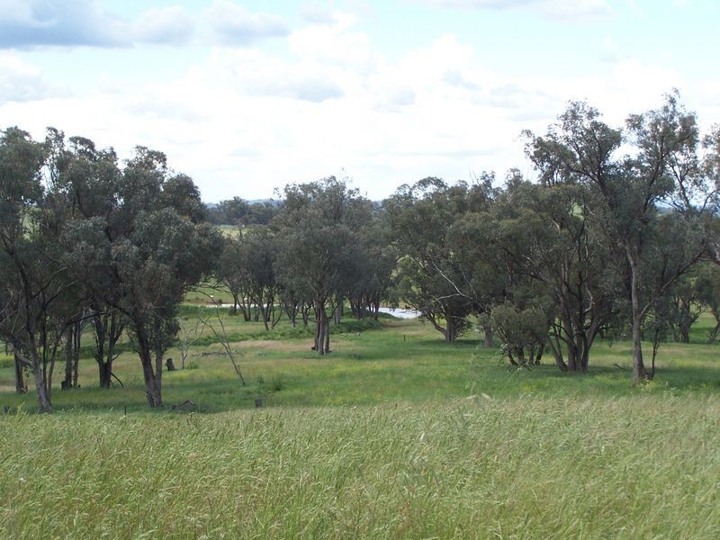 The Plateau, Dripstone Road, Wellington NSW 2820