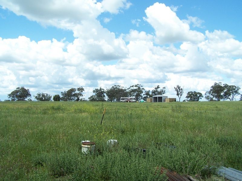 The Plateau, Dripstone Road, Wellington NSW 2820