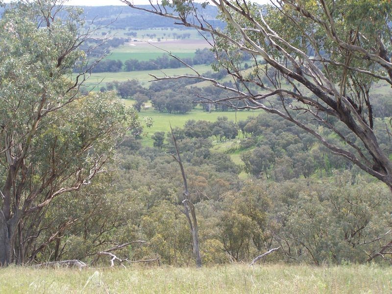 The Plateau, Dripstone Road, Wellington NSW 2820