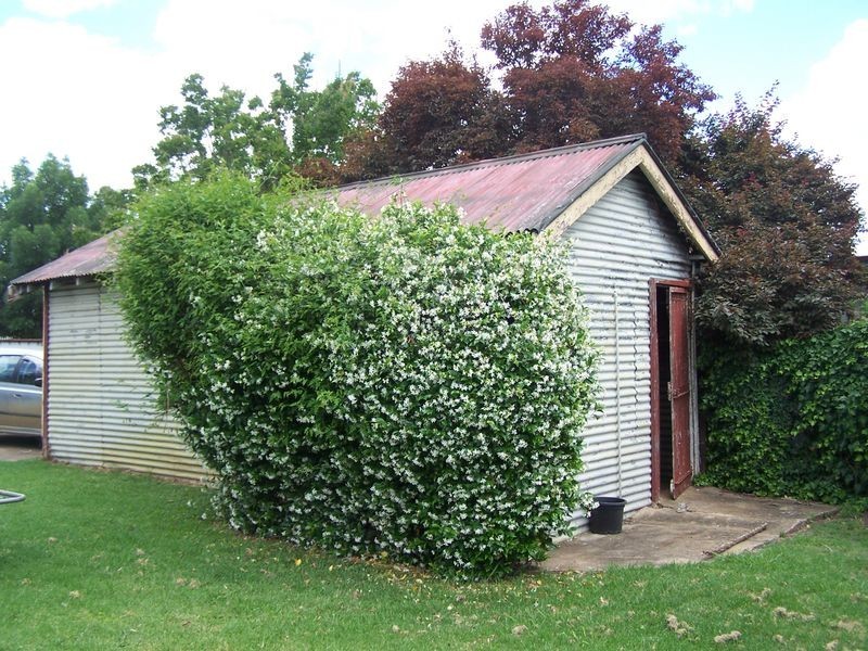 97 Warne Street, Wellington NSW 2820