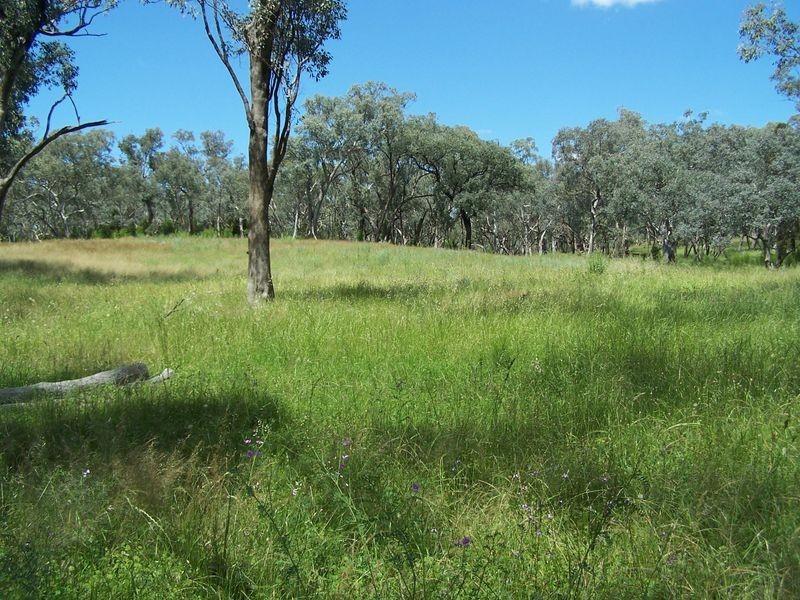 1 & 2 Phillipa Road, Wellington NSW 2820