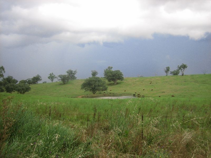 1 & 2 Phillipa Road, Wellington NSW 2820