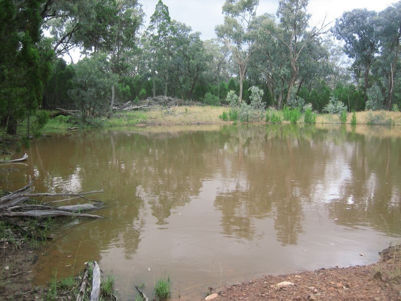 1 & 2 Phillipa Road, Wellington NSW 2820