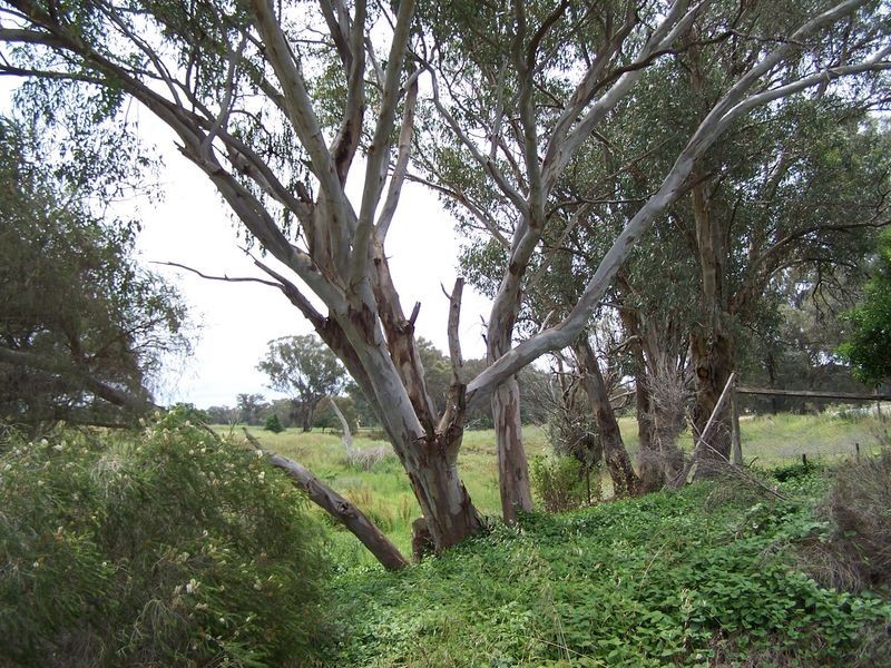 177 Burrendong Way, Stuart Town NSW 2820