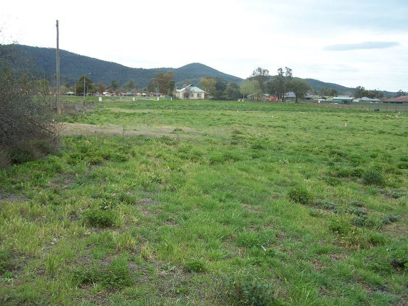 Queen Street, Wellington NSW 2820