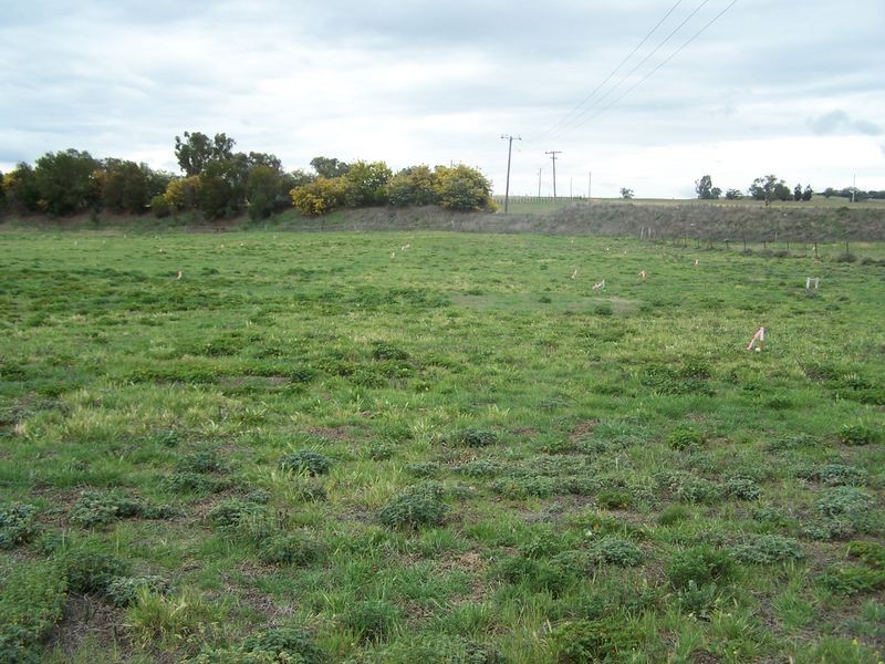 Queen Street, Wellington NSW 2820