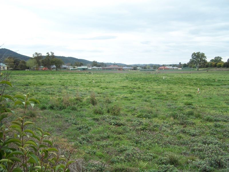 Queen Street, Wellington NSW 2820