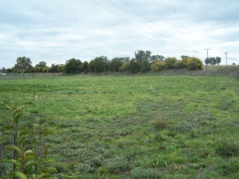 Queen Street, Wellington NSW 2820