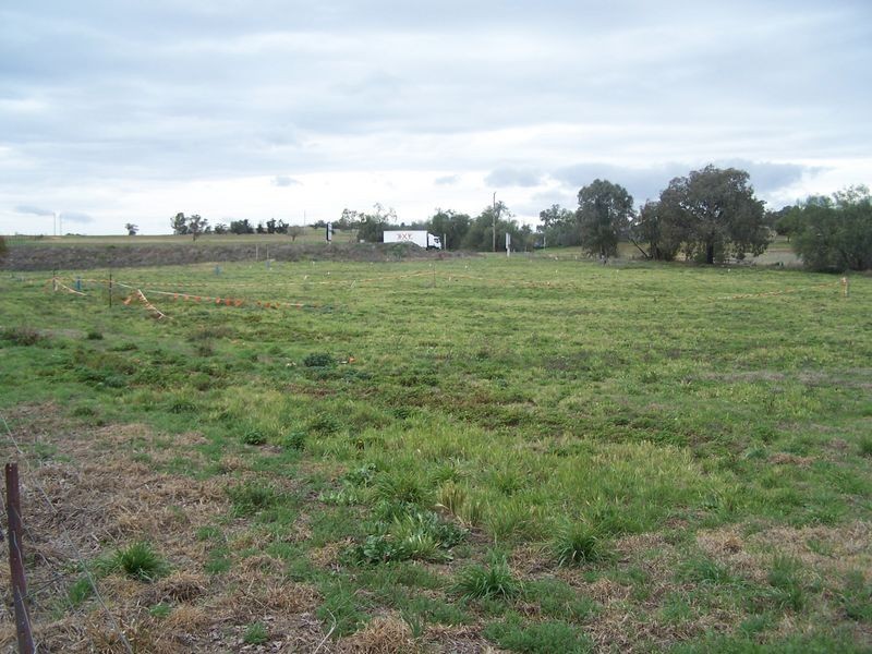 Queen Street, Wellington NSW 2820