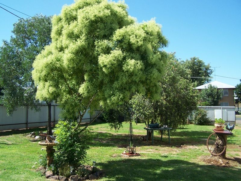 130 Maughan Street, Wellington NSW 2820