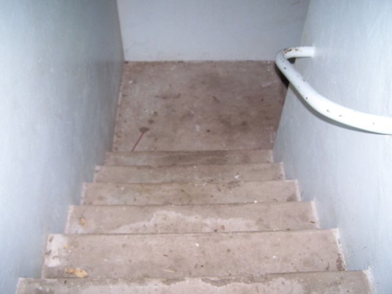 105 Lee Street, Wellington NSW 2820