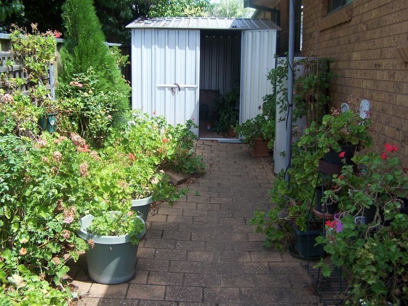 1/59 Whiteley Street, Wellington NSW 2820