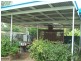 148 Whiteley Street, Wellington NSW 2820