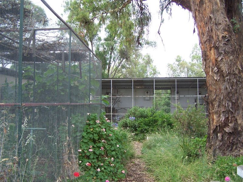 148 Whiteley Street, Wellington NSW 2820