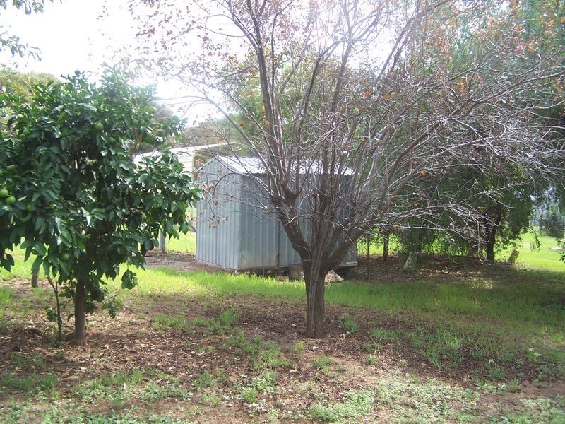 20 Railway Parade, Mumbil NSW 2820