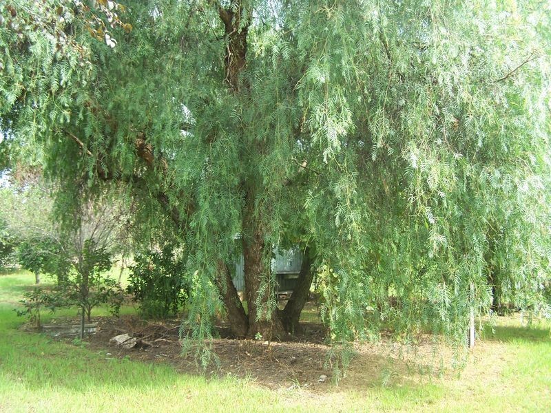 20 Railway Parade, Mumbil NSW 2820