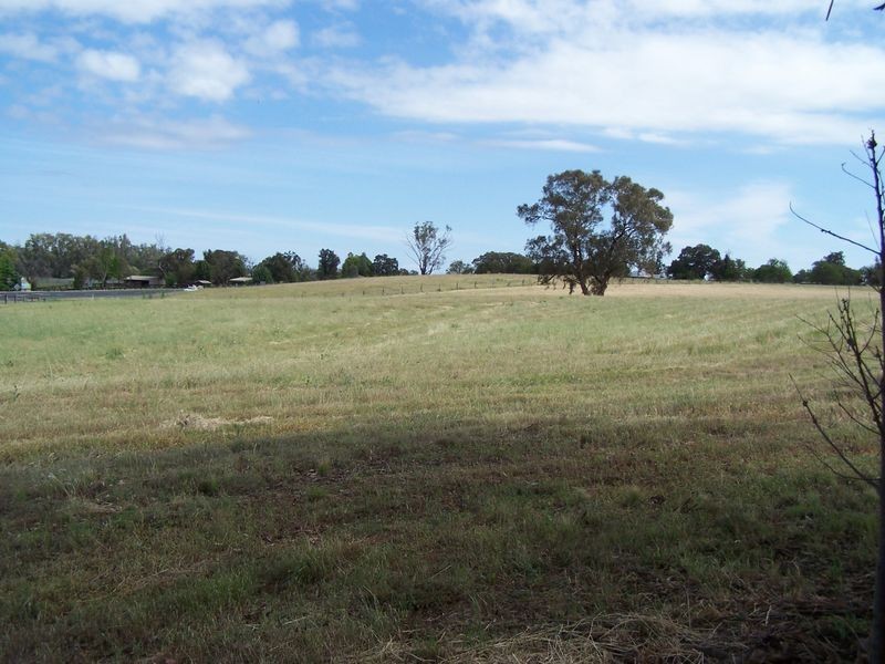 1 Pindari Grove, Montefiores NSW 2820