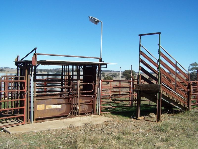 Fashion Mount Road  ‘Part Kyanna’, Mumbil NSW 2820