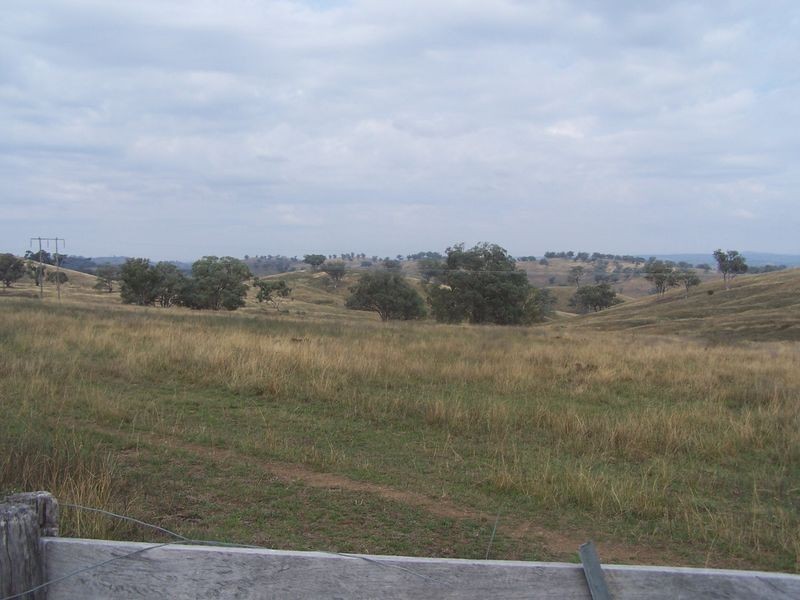 178 Tarrawingee Road, Mumbil NSW 2820