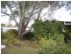 67 Whiteley Street, Wellington NSW 2820