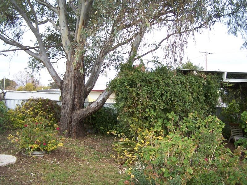 67 Whiteley Street, Wellington NSW 2820