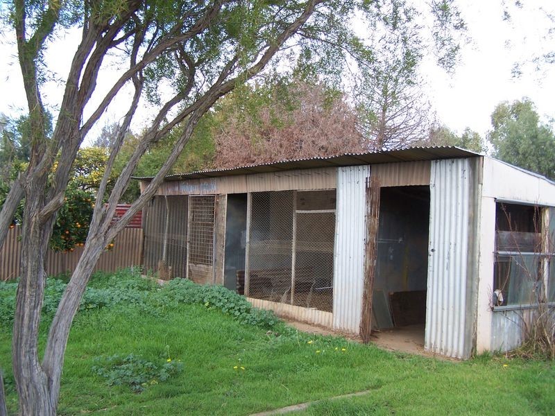 67 Maxwell Street, Wellington NSW 2820