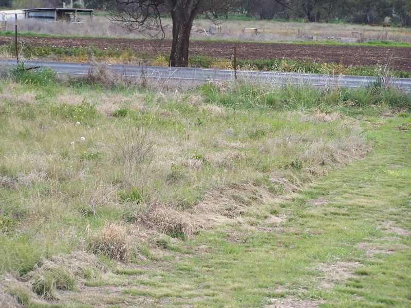 70 Curtis Street, Wellington NSW 2820