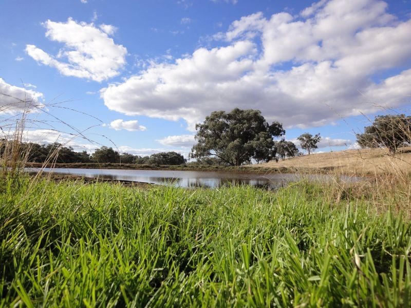 Kurrool  678 Blathery Creek Road, Wellington NSW 2820