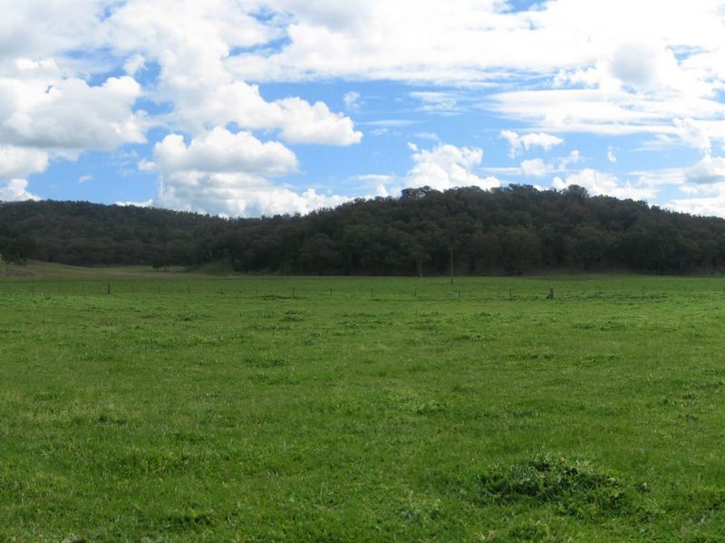 Kurrool  678 Blathery Creek Road, Wellington NSW 2820