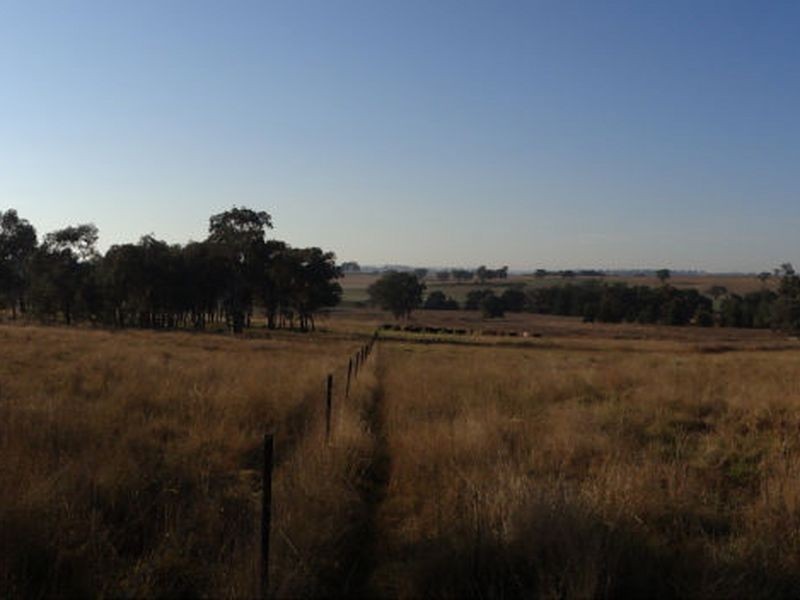 Kurrool  678 Blathery Creek Road, Wellington NSW 2820