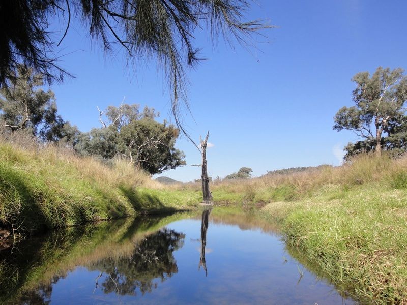 Kurrool  678 Blathery Creek Road, Wellington NSW 2820