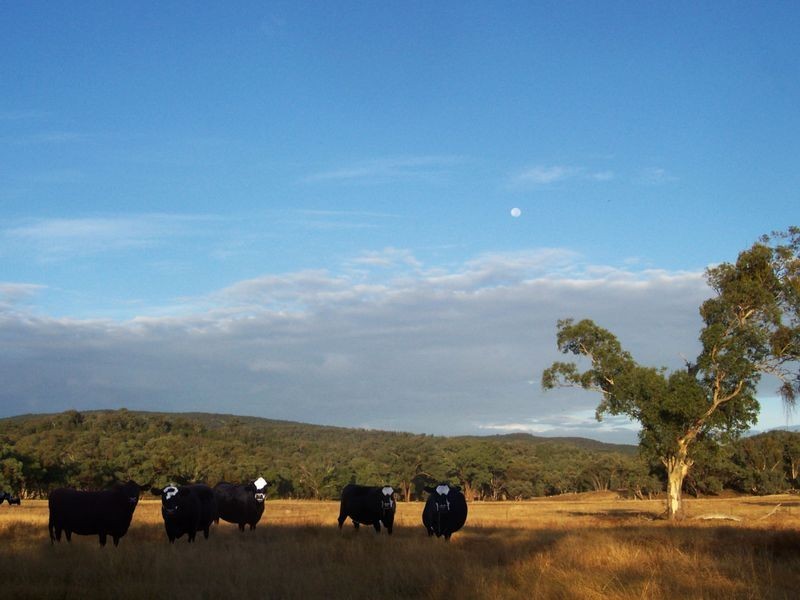 Kurrool  678 Blathery Creek Road, Wellington NSW 2820