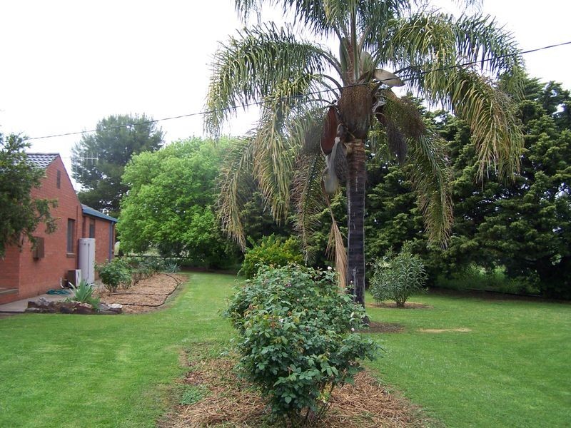 124-126 Simpson Street, Wellington NSW 2820